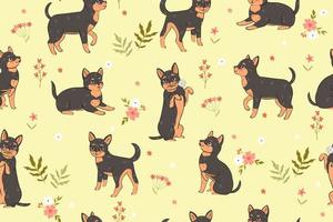 nahtlos Muster mit Blumen und süß Chihuahua Hunde. Vektor Grafik.