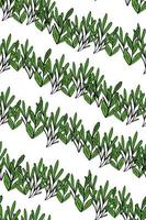 grön löv sömlös mönster. vektor vit översikt ändlös bild för mode, skriva ut, textil, omslag