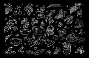 einstellen Weiß Beeren Gekritzel. Vektor Illustration. Beeren, Blätter, Körbe, Smoothie, gesund Lebensmittel.