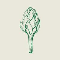 kronärtskocka illustration. ätlig blomma knopp, friska grönsak. hand dragen färsk hela kronärtskocka.vektor vektor