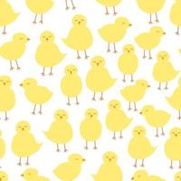 söt kyckling sömlös mönster. påsk gul kycklingar på vit bakgrund. tecknad serie mönster i gul färger. omslag papper, påsk dekor, inbjudningar. textil. vektor