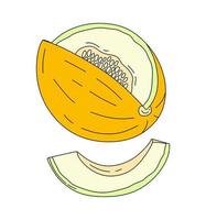 melon klotter vektor Färg illustration isolerat på vit bakgrund