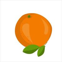 köstliche Orangenfrucht vektor