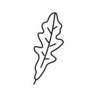 Rucola Salat Essen Linie Symbol Vektor Illustration