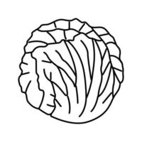 Radicchio Salat Essen Linie Symbol Vektor Illustration