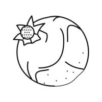 Granatapfel Obst reif Linie Symbol Vektor Illustration