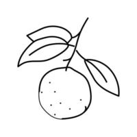 Ast Mandarin Blatt Linie Symbol Vektor Illustration