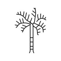 Fuchsschwanz Palme Baum Linie Symbol Vektor Illustration