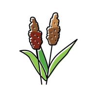 Sorghum Pflanze Essen Farbe Symbol Vektor Illustration