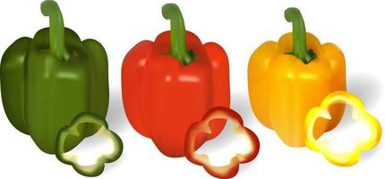 uppsättning av mogen peppar, hela och skivad.grönsak. vektor illustration