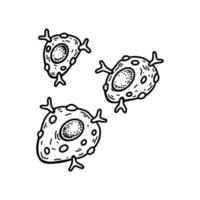 Mast Zelle isoliert auf Weiß Hintergrund. Hand gezeichnet wissenschaftlich Mikrobiologie Vektor Illustration im skizzieren Stil