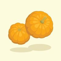 annorlunda vinkel orange pumpa vektor illustration