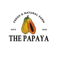 Papaya Lieferanten Oval Rahmen Abzeichen oder Logo Vorlage. Hand gezeichnet Früchte skizzieren mit retro Typografie vektor