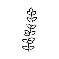 Thymian Salat Essen Linie Symbol Vektor Illustration