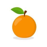 Orangenfruchtvektor vektor