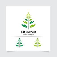 eben Emblem Logo Design zum Landwirtschaft mit das Konzept von Grün Blätter Vektor. Grün Natur Logo benutzt zum landwirtschaftlich Systeme, Bauern, und Plantage Produkte. Logo Vorlage. vektor