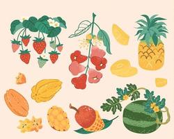 Taiwan oder tropisch Obst Sammlung im Gekritzel Stil. Essen Elemente einschließlich Erdbeere, Wachs Apfel, Ananas, Star Frucht, Mango, und Wassermelone. vektor