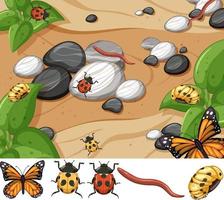 Draufsichtszene vieler Insekten mit isolierten verschiedenen Insekten vektor