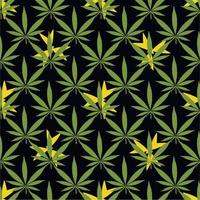 cannabis sömlös mönster för utskrift på tyg herr- kvinnors Kläder t-tröjor klänningar textilier grön saftig abstrakt ljus ,på en svart bakgrund vektor