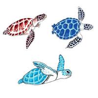 einstellen von braun, Blau und aqua Farbe Meer Schildkröten. Vektor eps Illustration Marine Tiere.