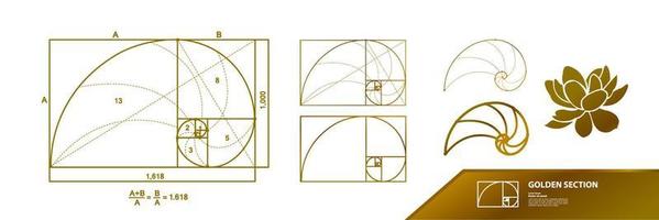 gyllene förhållande för kreativ design sektion vektor illustration.