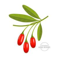 Goji Beere Serum zum Haut Pflege Paket Illustration vektor