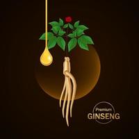 Prämie Ginseng Vektor Illustration