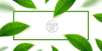Prämie Grün Tee zum gut Gesundheit Vektor Illustration.