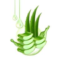 Aloe vera Kollagen und Serum zum Haut Pflege kosmetisch Vektor