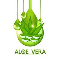 aloe vera kollagen och serum för hud vård kosmetisk vektor