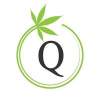 cannabis marijuana logotyp på brev q begrepp för hälsa och medicinsk terapi. marijuana, cannabis tecken mall vektor