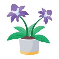 modisch Streptocarpus Konzepte vektor