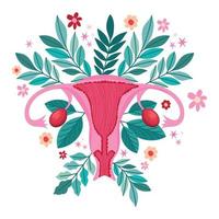 rosa livmoder illustration vektor