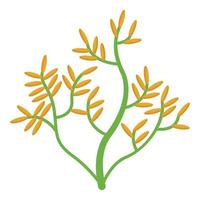 Algen Pflanze Symbol isometrisch Vektor. Meer Alge vektor