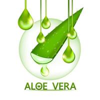 Aloe vera Kollagen und Serum zum Haut Pflege kosmetisch Vektor