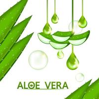 Aloe vera Kollagen und Serum zum Haut Pflege kosmetisch Vektor