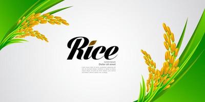 premie ris bra kvalitet design begrepp vektor. vektor