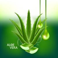 aloe vera kollagen och serum för hud vård kosmetisk vektor