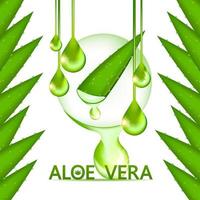 Aloe vera Kollagen und Serum zum Haut Pflege kosmetisch Vektor