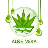 aloe vera kollagen och serum för hud vård kosmetisk vektor