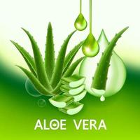 Aloe vera Kollagen und Serum zum Haut Pflege kosmetisch Vektor