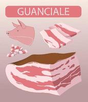 guanciale illustration, fläsk kött i italiensk köket vektor