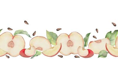 hand dragen vattenfärg äpple frukt mogen, skivor, röd och grön Färg, löv, frön. sömlös horisontell baner. isolerat på vit bakgrund. design för vägg konst, bröllop, skriva ut, tyg, omslag, kort. vektor