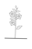 manda blomma översikt på vit bakgrund. vektor illustration.