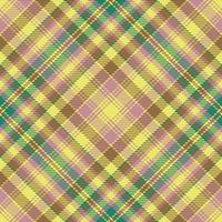 textil- kolla upp pläd. bakgrund vektor tartan. tyg sömlös mönster textur.