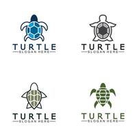sköldpadda ikon, hav sköldpadda vektor illustration, logotyp för knappar, webbplatser, mobil appar och Övrig design behov