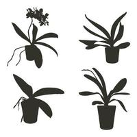 Vektor einstellen von realistisch Blumen Orchideen, Phalaenopsis. Realismus modern Silhouetten Pflanzen, Kräuter. eben Design Vorlage.