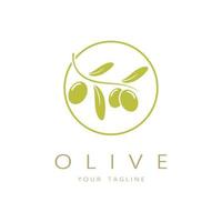 Blatt Pflanze Logo und natürlich Olive Obst .Kräuter,Olive Öl, Kosmetik oder Schönheit,Wirtschaft,Kosmetik,Landwirtschaft,Ökologie konzept, spa, gesundheit, yoga Mitte, Vektor