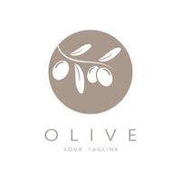 Blatt Pflanze Logo und natürlich Olive Obst .Kräuter,Olive Öl, Kosmetik oder Schönheit,Wirtschaft,Kosmetik,Landwirtschaft,Ökologie konzept, spa, gesundheit, yoga Mitte, Vektor