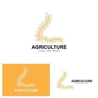 Reis Logo, Landwirtschaft Design, Vektor Weizen Reis Symbol Vorlage Illustration